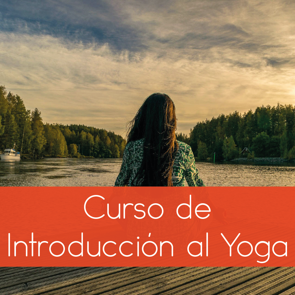 Curso de Yoga para principiantes